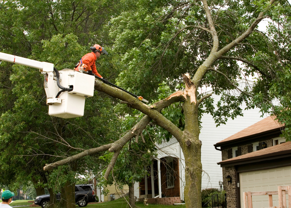 How To Prepare Your Home to Help Prevent Storm Damage